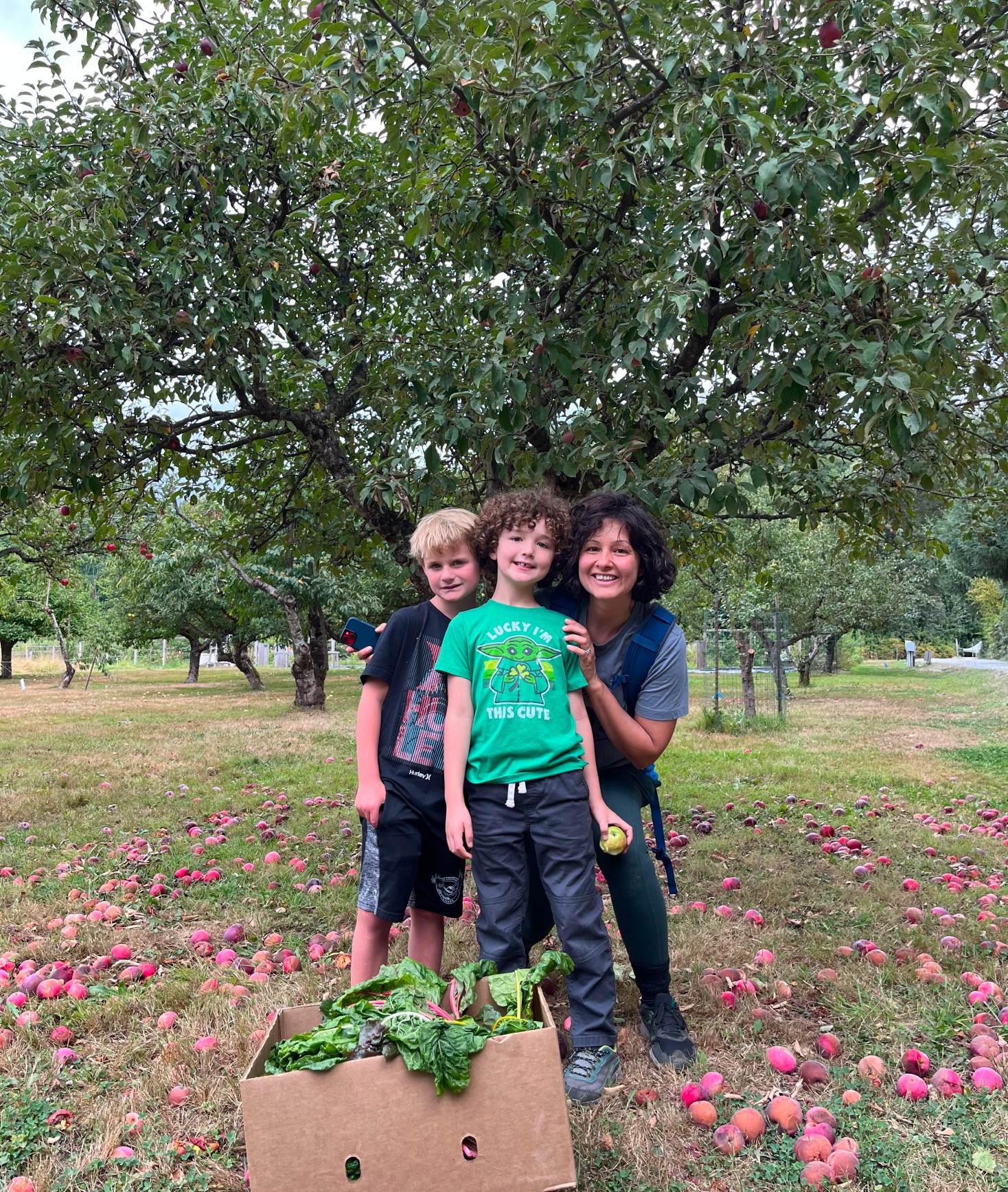 Two young boys and their teacher smiling at an apple orchard