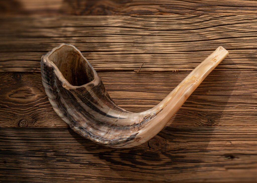 The Shofar: Cries and Action